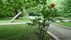 concrete erection, La Plate-bande n� 2 | <a class="print" href="#" onclick="return hs.printImage(this)">Bild drucken</a>